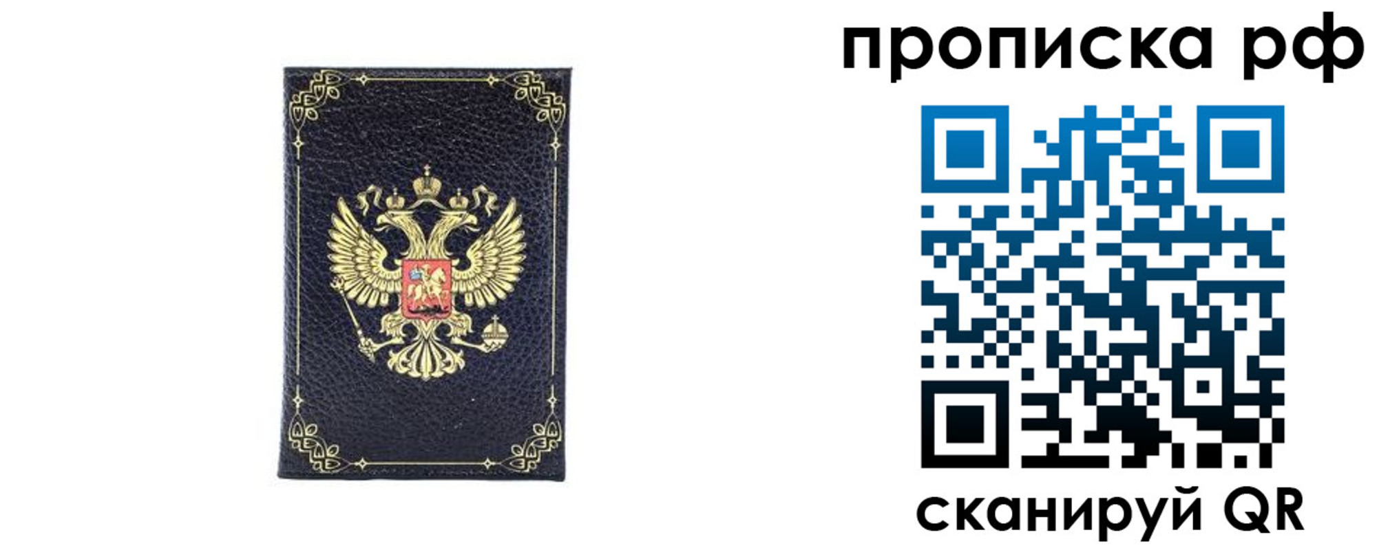 прописка для школы в Чистополье